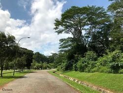 Rochalie Drive (D10), Detached #588859771